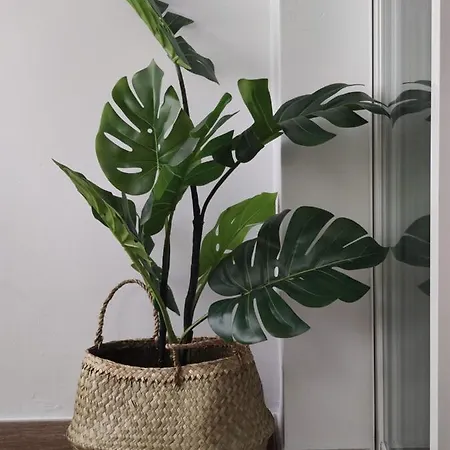 Apartamento Ohana, Costa Del Sol *